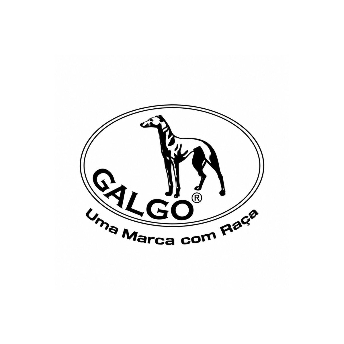 Galgo